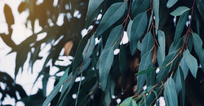 Health Education Classes