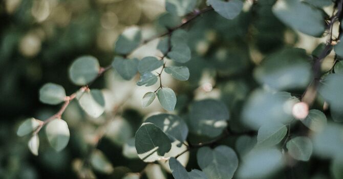 In-Depth Clinical Concierge Service