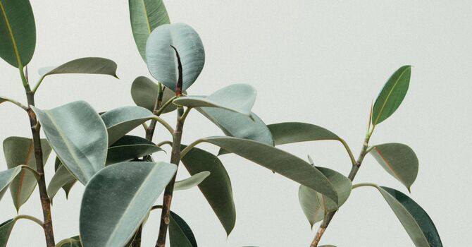 In-Depth Clinical Concierge Service